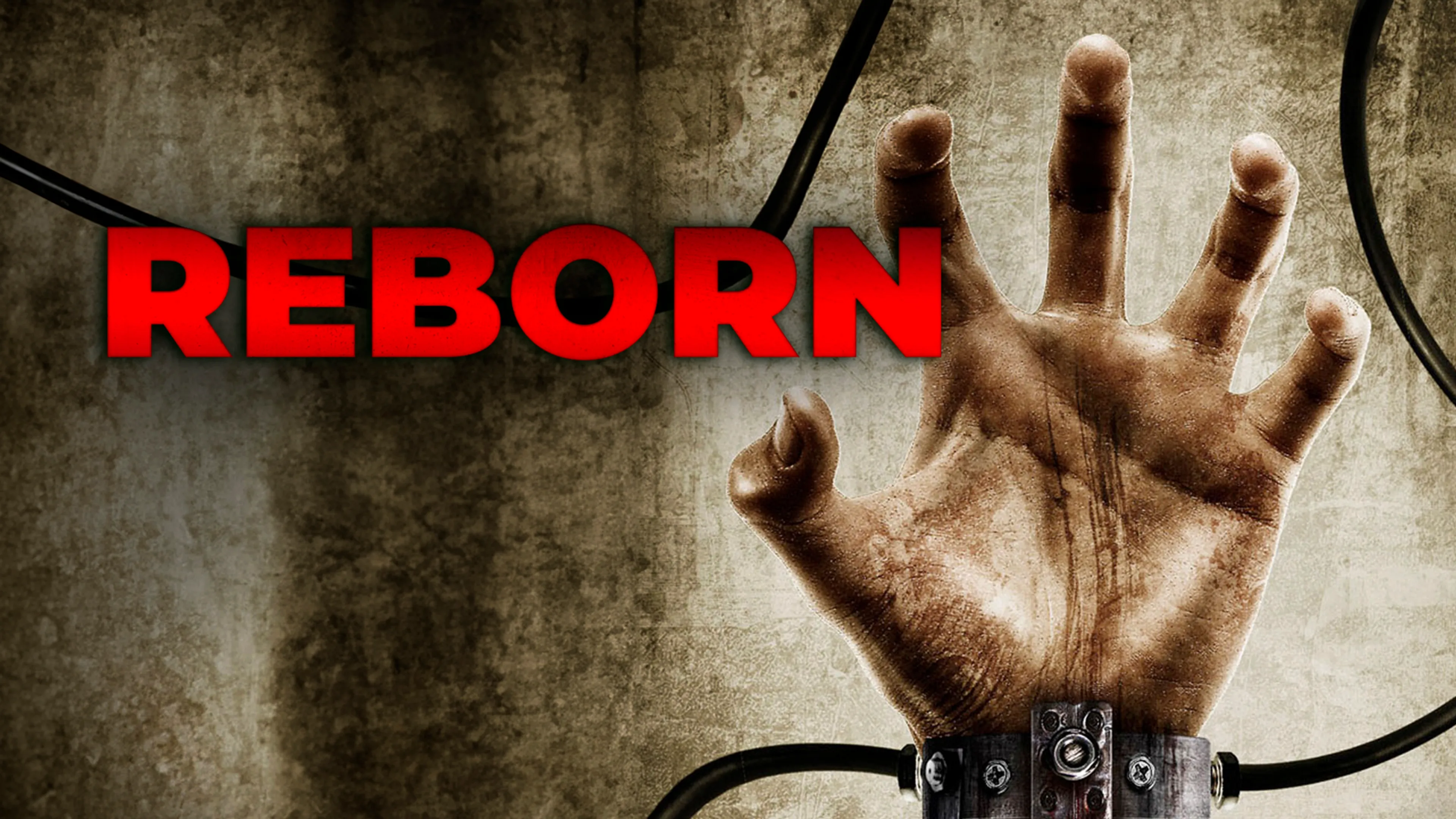 Reborn poster